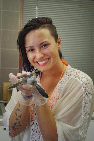 Demi became a Godparent of a Turtle at the Meridien Resort in Bora Bora - August 2014