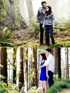  Edward and Bella's Meadow