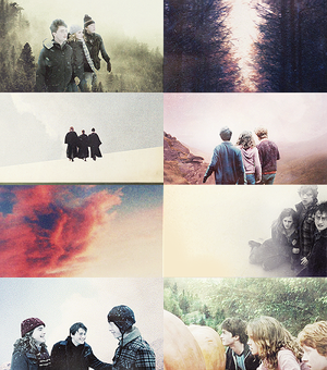  Harry, Hermione and Ron