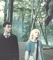 Harry and Luna - harry-potter photo