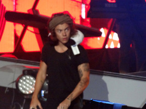 Harry wearing a cute little neck 枕头 Metlife Stadium, NJ, 8.4.14
