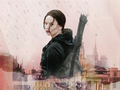 Katniss                    - the-hunger-games fan art