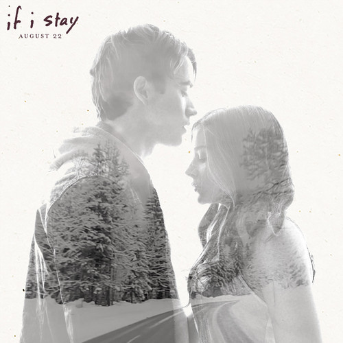 Mia and Adam,If I Stay - if-i-stay Photo