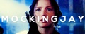 Mockingjay | Katniss Everdeen - the-hunger-games photo