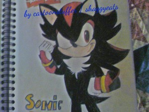  OFFICIAL SHADOW SONIC BOOM PIC!