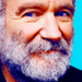 Robin Williams - robin-williams icon