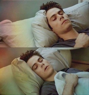  Stiles sleeping is adorable <3