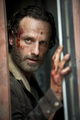 The Walking Dead - Season 5 - the-walking-dead photo
