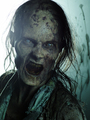 The Walking Dead - Season 5 - the-walking-dead photo