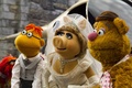 The muppets  - the-muppets photo