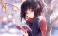 study winters time - anime photo