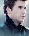                  Gale - the-hunger-games photo