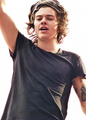                      Harry - one-direction photo