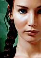             Katniss Everdeen - the-hunger-games photo