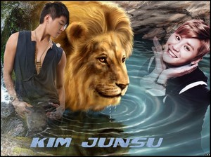           Kim JunSu