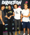                     Louis, Zayn, Harry and Niall - harry-styles fan art