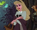 Aurora's maiden look - disney-princess photo