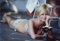 Brigitte Bardot - brigitte-bardot photo