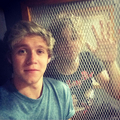 Caged Animal  - one-direction photo