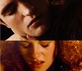 Edward and Bella,Breaking Dawn 2 - twilight-series photo