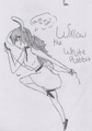 Fairy Tale Style -- Willow - young-justice-ocs fan art