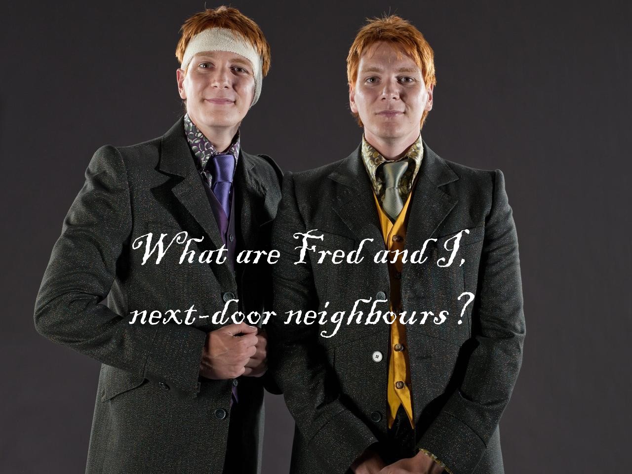 Photo of Fred and George quote for fans of George Weasley. 