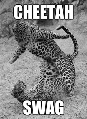  Funny Cheetah 20