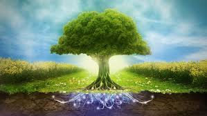  Go magical درخت