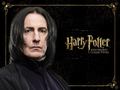 harry-potter - HP Hogwarts Collection wallpaper