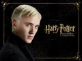 harry-potter - HP Hogwarts Collection wallpaper