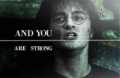 Harry Potter Gif(Daniel Radcliffe) - daniel-radcliffe photo