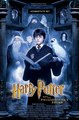Harry Potter Posters - harry-potter photo