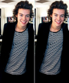 Harry         - one-direction photo