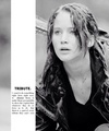 Katniss Everdeen | Tribute - the-hunger-games fan art