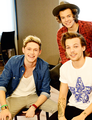 Niall, Harry and Louis - louis-tomlinson photo