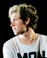 Niall          ♥ - one-direction photo