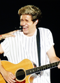 Niall          - one-direction photo