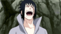 Sasuke is amused :3 - anime photo