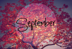  September