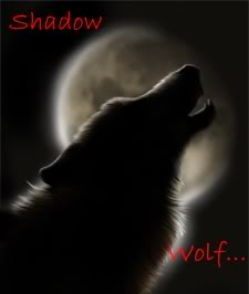Shadow Wolf 4