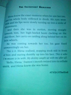  The Ending Of The TVD Books!