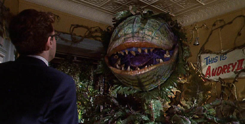 This-is-Audrey-II-little-shop-of-horrors-37597217-821-417.jpg