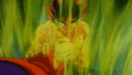 *Goku Fake Super Saiyan* - dragon-ball-z photo