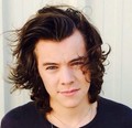                              Harry - one-direction photo