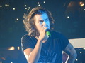                         Harry - one-direction photo