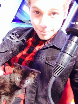 A kitten and Luke