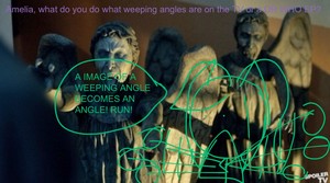 Amelia, what do you do what weeping angles are on the TV or a DR WHO EP?