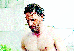  Andrew lincoln