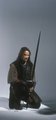 Aragorn lotr - lord-of-the-rings photo