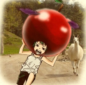  Attack on lhama